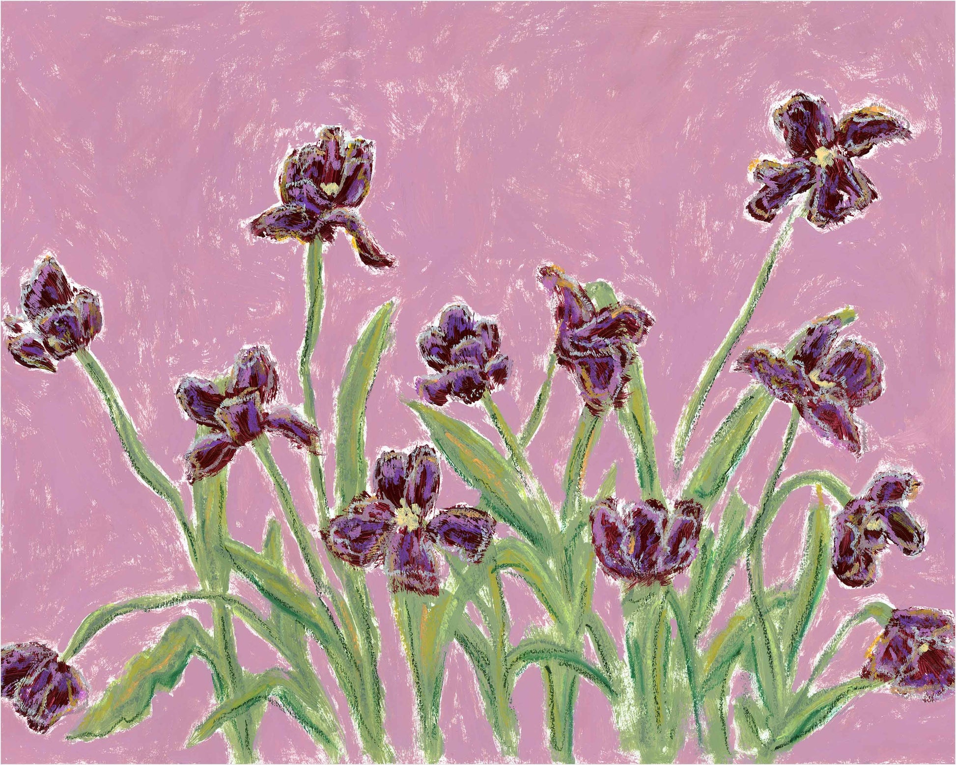 An art print of dark purple iris flowers with green stems and leaves against a textured pink background.