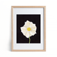 "Clarity" vertical, floral art print by Allie Burton